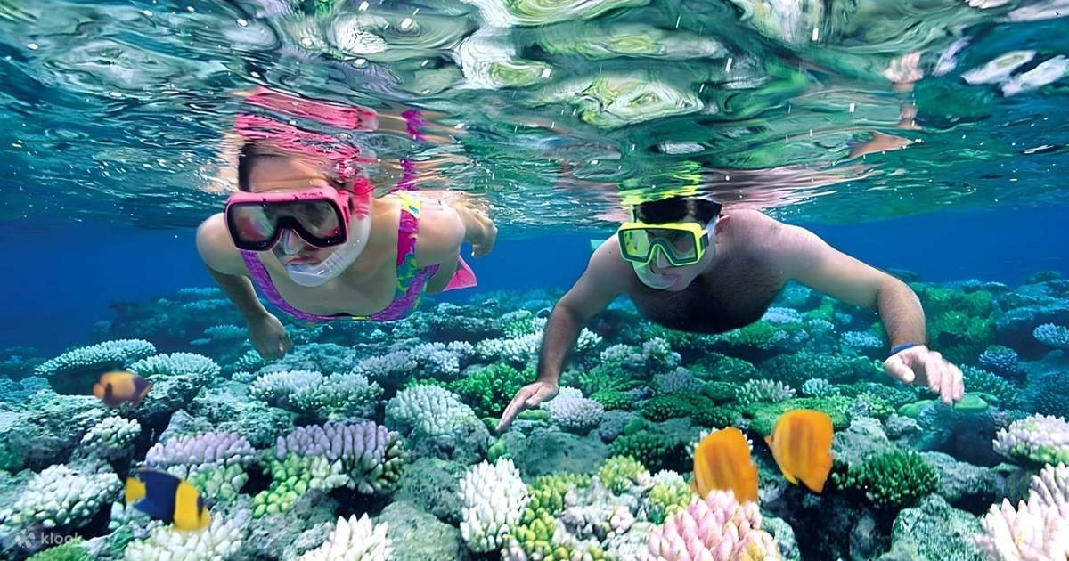 Snorkeling Experience in Nusa Penida (4 Snorkeling Spots) Klook